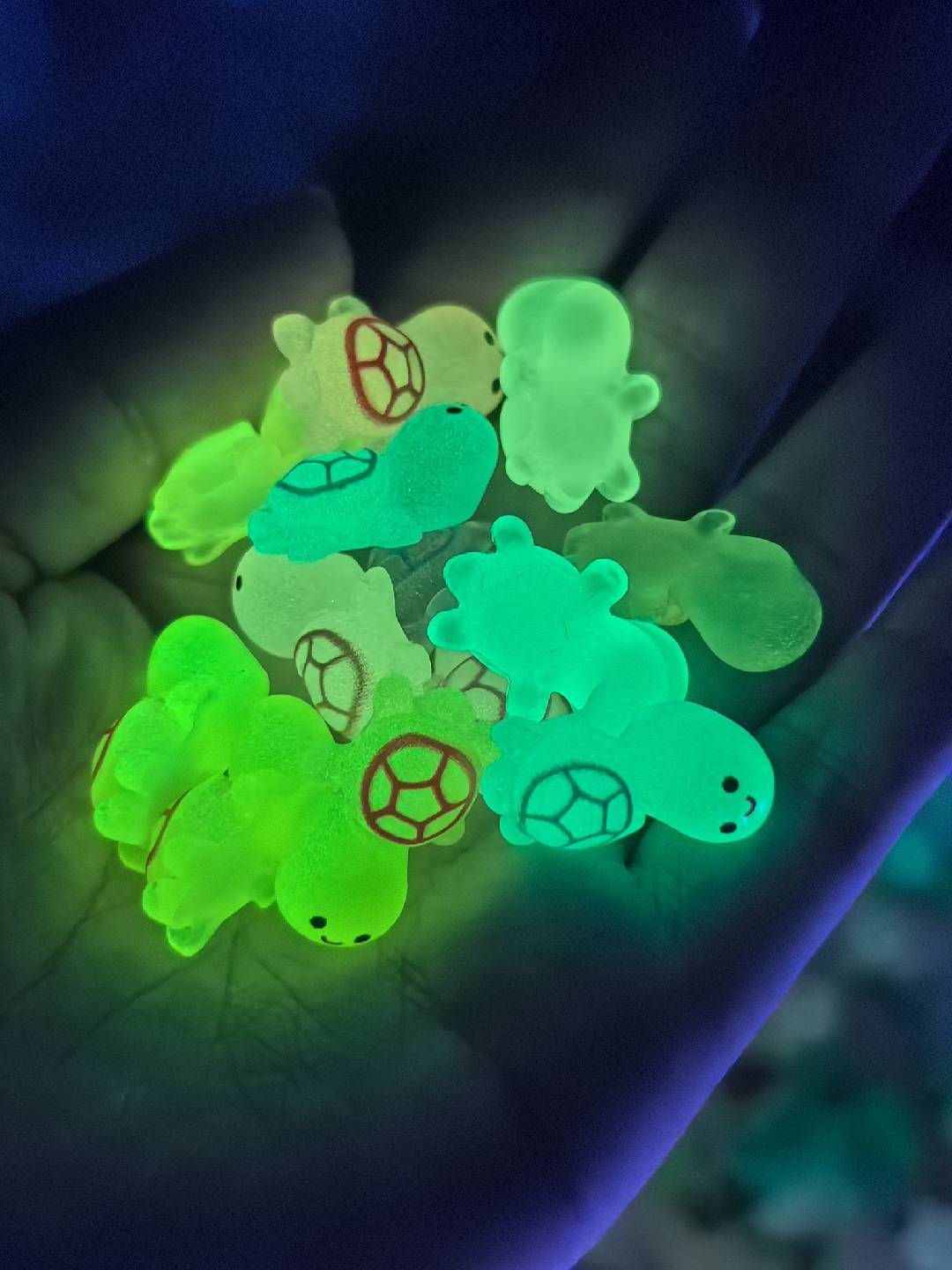 Luminous Turtle