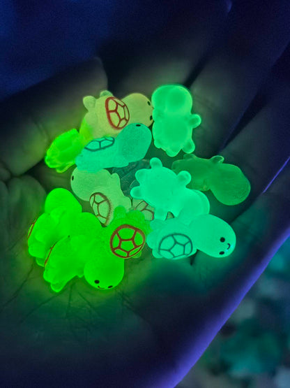 Luminous Turtle