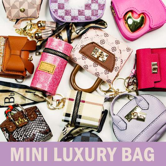 Mini Luxury Bag