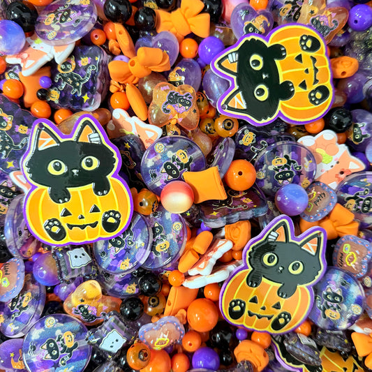 pumpkin black cat
